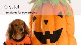  Presentation with dachshund - Beautiful PPT theme featuring costumer attitude - long haired dachshund dressed up backdrop and a lemonade colored foreground