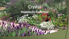  Presentation with country - Presentation theme enhanced with cottage garden 1 background and a dark gray colored foreground