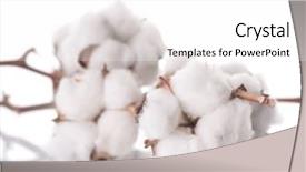  Presentation with cotton - Slides with cotton border over white background and a white colored foreground