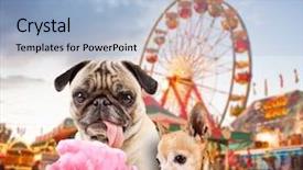  Presentation with green grass under the snow - Presentation design enhanced with cotton candy pink - empty chairlift in ski resort background and a light blue colored foreground