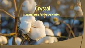  Presentation with industry 4 - Beautiful theme featuring cotton crop industry field macro backdrop and a tawny brown colored foreground