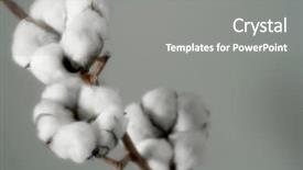  Presentation with crop - Cool new presentation theme with cotton crop backdrop and a gray colored foreground