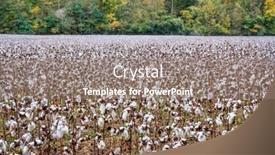  Presentation with fall colors - Beautiful PPT theme featuring cotton-field-and-forest backdrop and a gray colored foreground