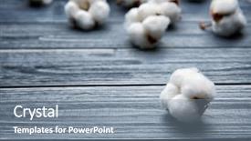  Presentation with cotton - Cool new PPT theme with cotton flower on wooden background backdrop and a gray colored foreground