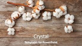  Presentation with cotton - PPT theme with cotton flowers on wooden background background and a coral colored foreground