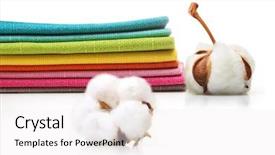  Presentation with plant cotton - PPT theme with cotton plant flower isolated background and a white colored foreground