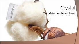  Presentation with plant cotton - Presentation theme consisting of cotton plant flower with tag background and a white colored foreground