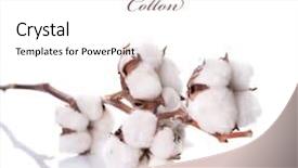  Presentation with cotton - Beautiful PPT theme featuring cute little baby walking in walker playing with tablet backdrop and a white colored foreground