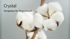  Presentation with cotton - Slide deck enhanced with cotton background and a light gray colored foreground