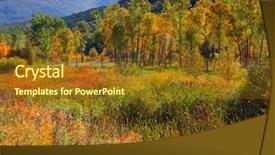  Presentation with cottonwood trees - Beautiful presentation featuring cottonwood trees in colorado early backdrop and a tawny brown colored foreground
