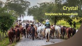  Presentation with rural road - Cool new presentation with couboy - cowboy driving a string backdrop and a tawny brown colored foreground