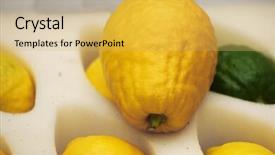  Presentation with holiday - Theme consisting of citrus myrtle adas palm-lulav background and a yellow colored foreground