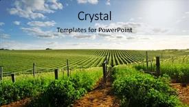  Presentation with vineyard - PPT theme having country austrilia - barossa valley vineyard background and a light blue colored foreground