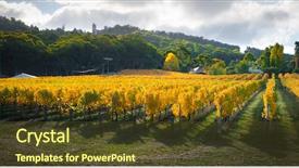  Presentation with australia - PPT layouts featuring country austrilia - beautiful autumn vines in south background and a tawny brown colored foreground