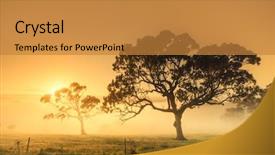  Presentation with morning sunrise - Amazing theme having country austrilia - rural sunrise on a misty backdrop and a gold colored foreground