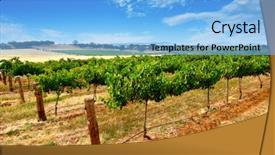  Presentation with scenic - PPT theme featuring country austrilia - scenic green vines at midday background and a light blue colored foreground