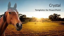  Presentation with peaceful - Amazing slide set having country austrilia - sun setting on a peaceful backdrop and a light blue colored foreground