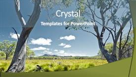  Presentation with country - Cool new PPT theme with country austrilia - tasmania green grass landscape backdrop and a seafoam green colored foreground