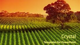  Presentation with chocolate hills bohol - Colorful slides enhanced with country austrilia - vineyard in the adelaide hills backdrop and a  colored foreground