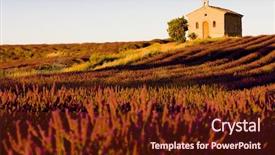  Presentation with lavender - Audience pleasing slides consisting of bowl of oat flake isolated on white background backdrop and a yellow colored foreground