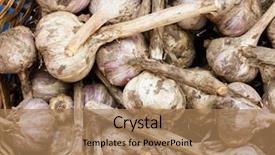  Presentation with close up garlic bulbs - PPT layouts having country fair - harvested garlic bulbs background and a coral colored foreground