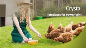  Presentation with kneeling - Slide deck with country fair - young pretty blonde feeding her background and a coral colored foreground