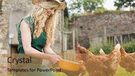  Presentation with kneeling - Presentation design with country fair - young woman feeding her chickens background and a  colored foreground