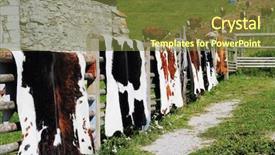  Presentation with country fair - Audience pleasing presentation consisting of country fair in haute savoie backdrop and a  colored foreground