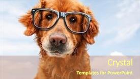  Presentation with geek - PPT layouts enhanced with country frames - close up of a golden background and a red colored foreground