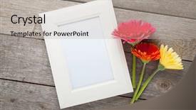  Presentation with flowers - Slide set featuring country frames - three colorful gerbera flowers background and a mint green colored foreground