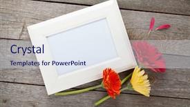  Presentation with paper quilling colorful paper flowers - Amazing PPT layouts having country frames - three colorful gerbera flowers backdrop and a sky blue colored foreground