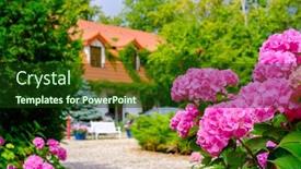  Presentation with hydrangea - Audience pleasing slide set consisting of country-house-landscape-at-summer backdrop and a tawny brown colored foreground