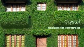  Presentation with ivy - Audience pleasing presentation consisting of country-house-with-the-facade backdrop and a tawny brown colored foreground