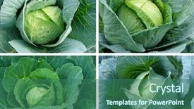  Presentation with growing - Amazing presentation having country kitchen - set of cabbages growing backdrop and a ocean colored foreground
