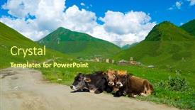  Presentation with country - Colorful presentation design enhanced with country-landscape-in-svaneti-georgia backdrop and a tawny brown colored foreground