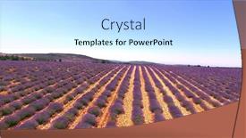  Presentation with plants growing - Cool new theme with country-landscape-with-lavender-fields backdrop and a light blue colored foreground