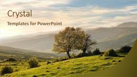  Presentation with oak tree - Audience pleasing theme consisting of country landscape with oak tree backdrop and a lemonade colored foreground