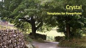  Presentation with country roses - Beautiful slide set featuring country lane grassington yorkshire dales backdrop and a  colored foreground