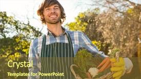  Presentation with vegetables - PPT theme having country life time - gardener man holding a basket background and a tawny brown colored foreground