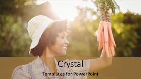  Presentation with organic garden store - Slide deck consisting of country life time - smiling woman holding carrots background and a gold colored foreground
