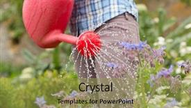  Presentation with flowers - PPT layouts having country life time - woman watering her flowers background and a  colored foreground