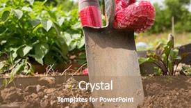  Presentation with boot camp boots - Beautiful PPT layouts featuring country life time - woman wearing rubber boots working backdrop and a  colored foreground