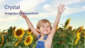  Presentation with sunflowers - Slide set consisting of country living - happy boy in a field background and a  colored foreground