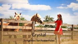  Presentation with horse - PPT layouts with country love - beautiful young woman feeding her background and a gold colored foreground