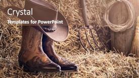  Presentation with country music - Slide deck with country-music-festival-live-concert background and a coral colored foreground