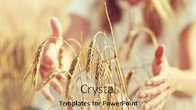  Presentation with agriculture field - Colorful presentation design enhanced with up of young woman hands backdrop and a coral colored foreground