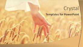  Presentation with agriculture field - Slides enhanced with country-nature-summer-holidays-agriculture background and a blonde colored foreground