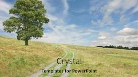  Presentation with country - Colorful presentation design enhanced with country-path-with-tree backdrop and a yellow colored foreground