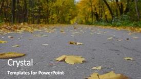  Presentation with road yellow - Amazing PPT layouts having country road in automn backdrop and a  colored foreground