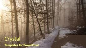  Presentation with forest road - Presentation theme featuring country-road-in-snowy-forest background and a tawny brown colored foreground